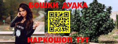 прущие грибы Малгобек