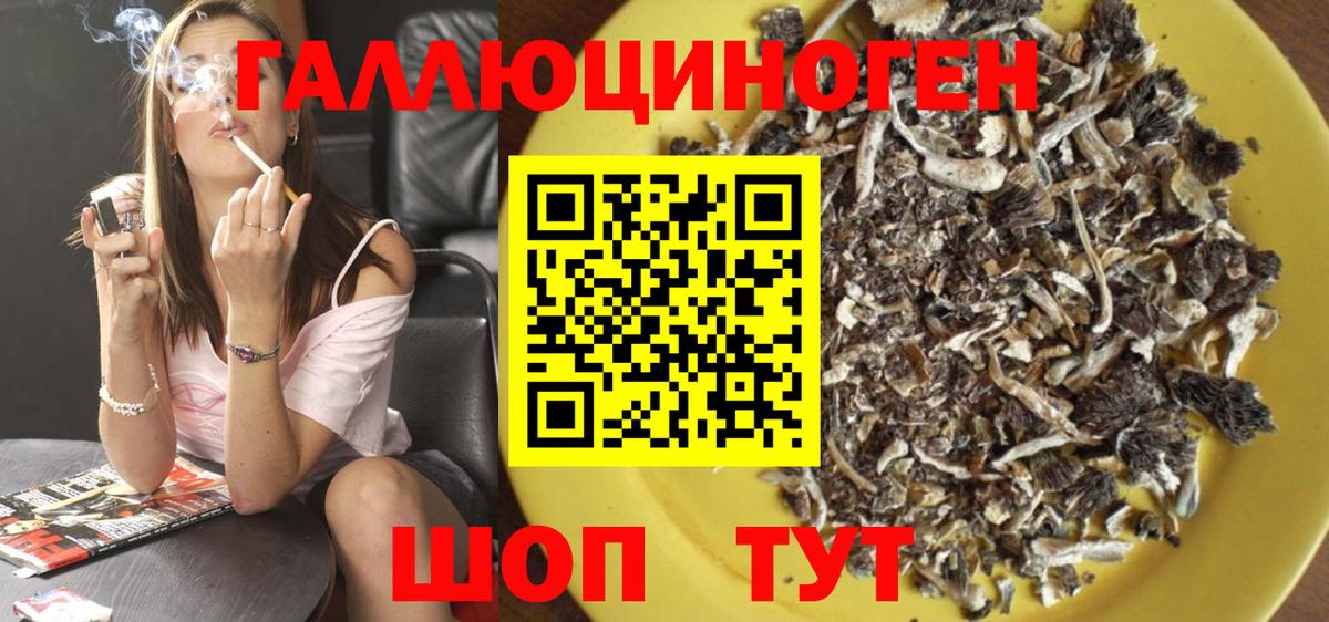 Галлюциногенные грибы Psilocybine cubensis  Вход с VPN  Заволжье 